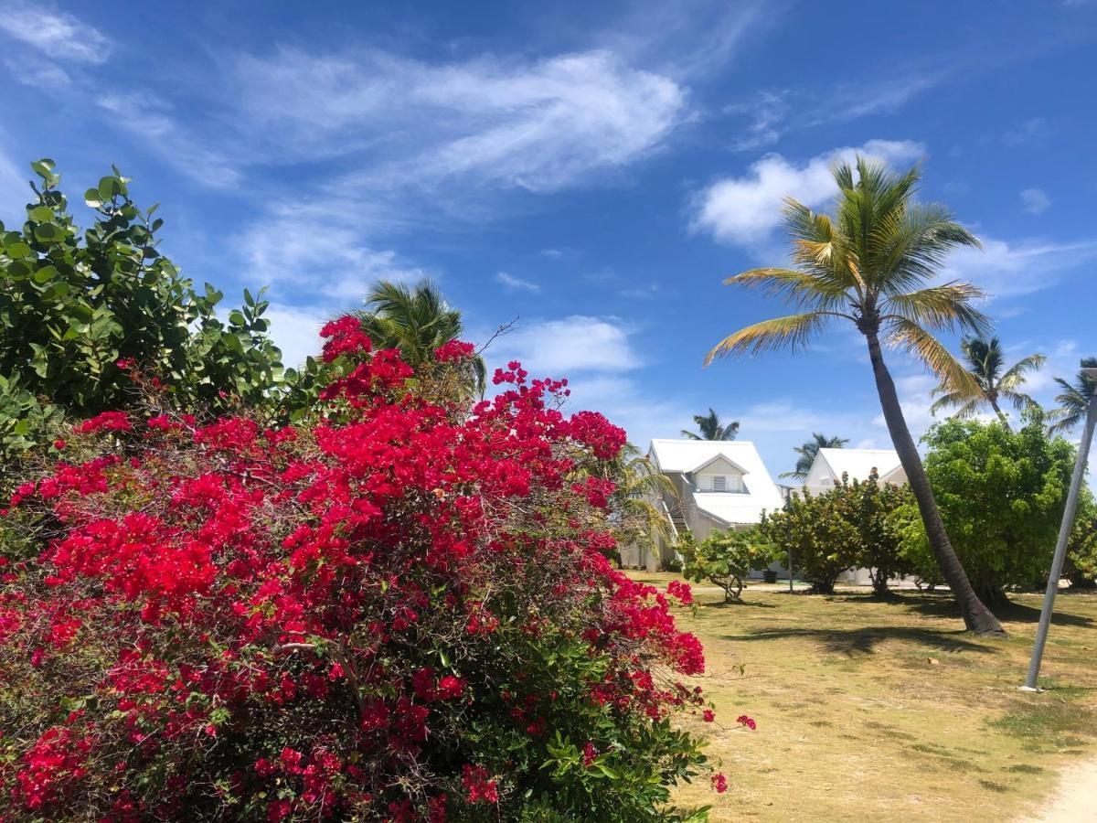 Sweet Home Sxm Baie Nettle Pieds Dans L'Eau Sandy Ground Buitenkant foto